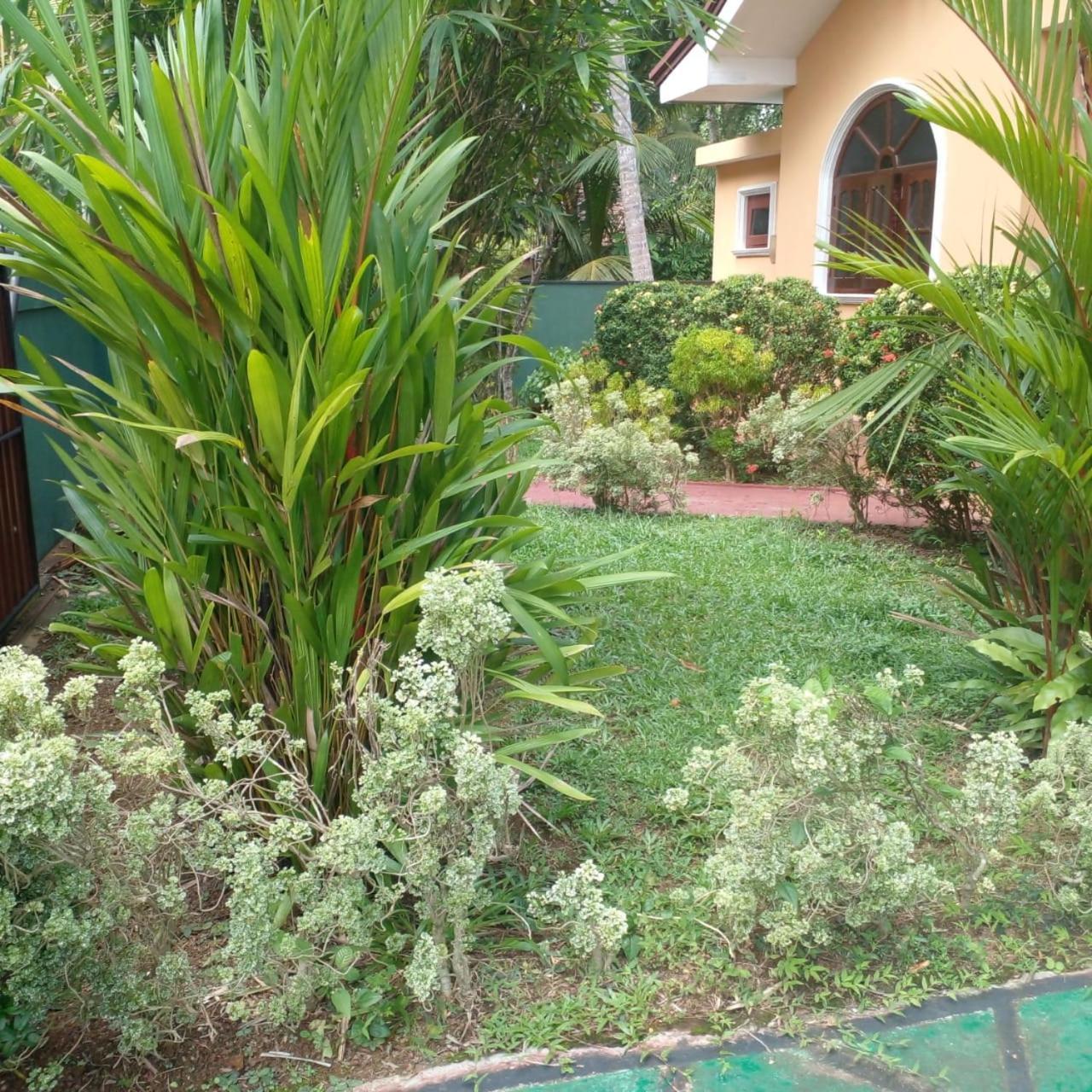 Grace Villa Bentota Exterior foto